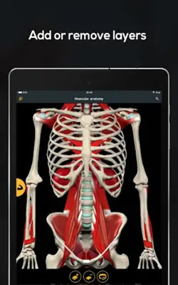 Anatomy by Muscle & Motion android App screenshot 0