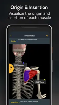 Anatomy by Muscle & Motion android App screenshot 9