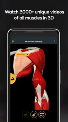 Anatomy by Muscle & Motion android App screenshot 10