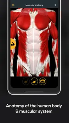 Anatomy by Muscle & Motion android App screenshot 12