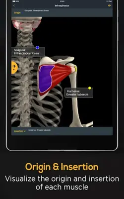 Anatomy by Muscle & Motion android App screenshot 1