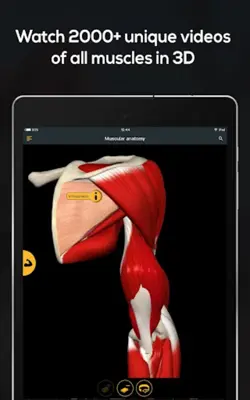 Anatomy by Muscle & Motion android App screenshot 2