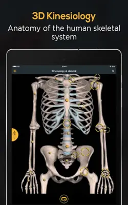 Anatomy by Muscle & Motion android App screenshot 3