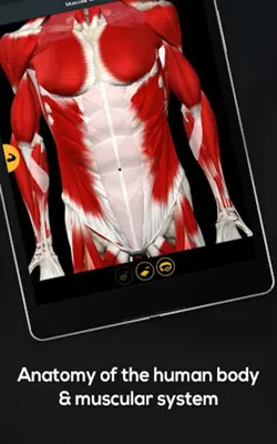 Anatomy by Muscle & Motion android App screenshot 4