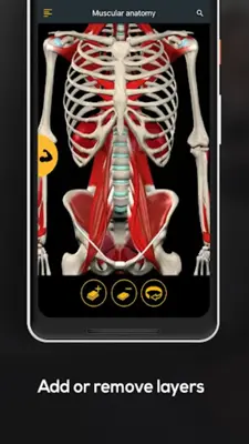 Anatomy by Muscle & Motion android App screenshot 8